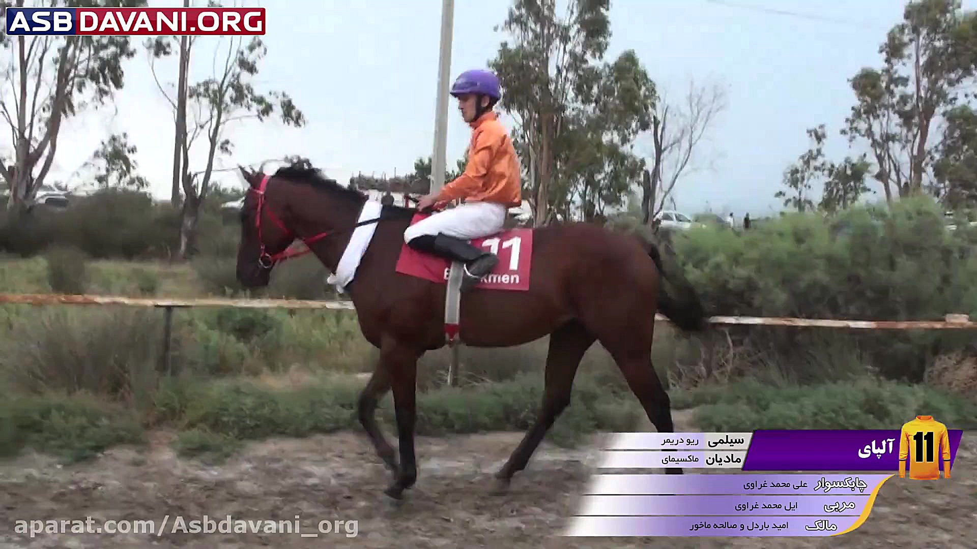 قهرمانی یاگال  هندیکاپ کلاس6 د...