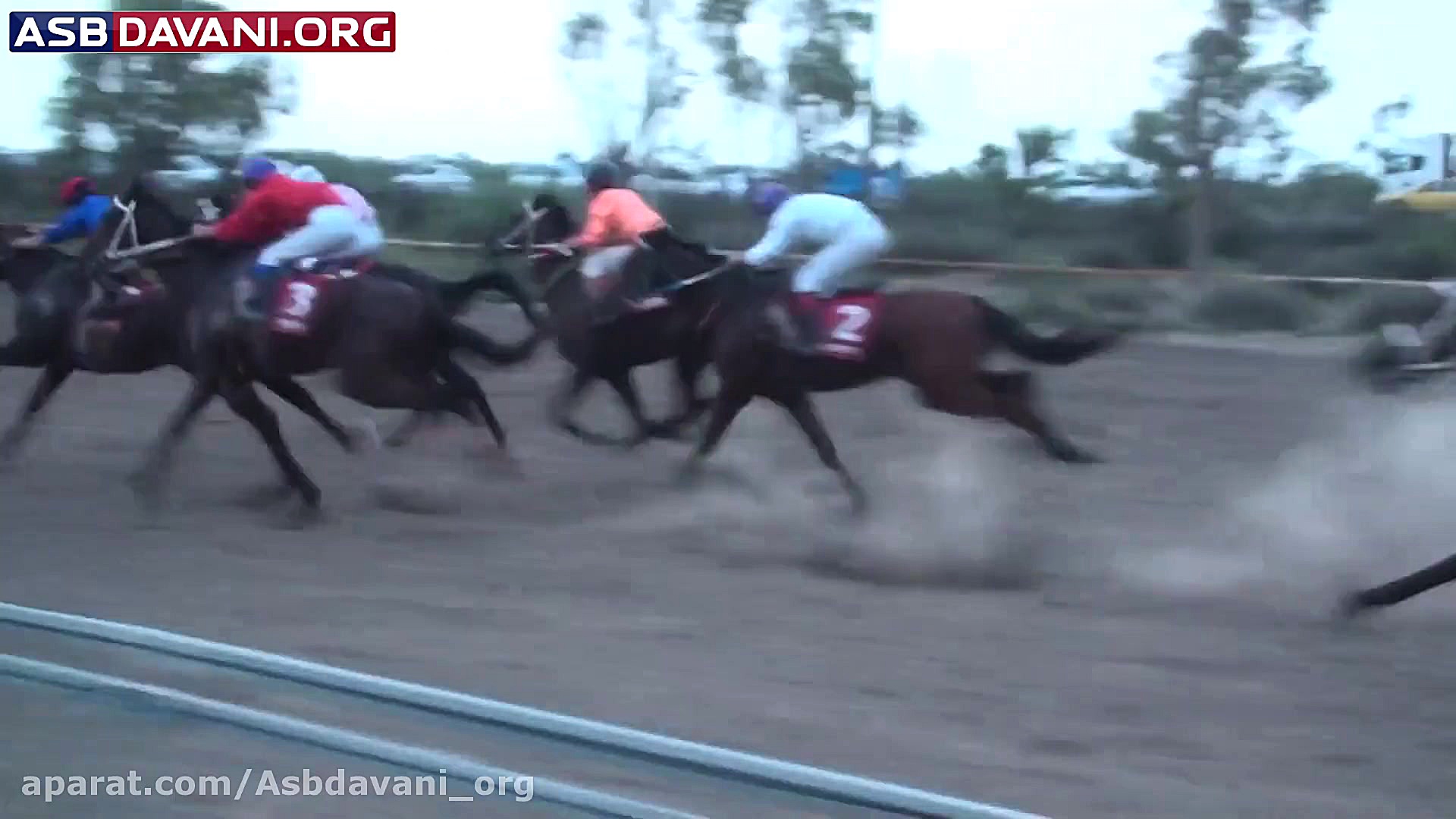 قهرمانی محبوبا  هندیکاپ کلاس 4...