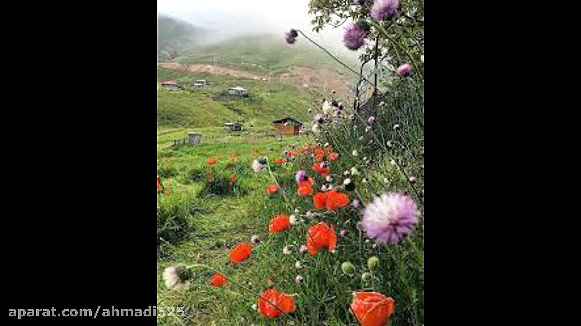 موسیقی محلی شیرازی حالم بهاره