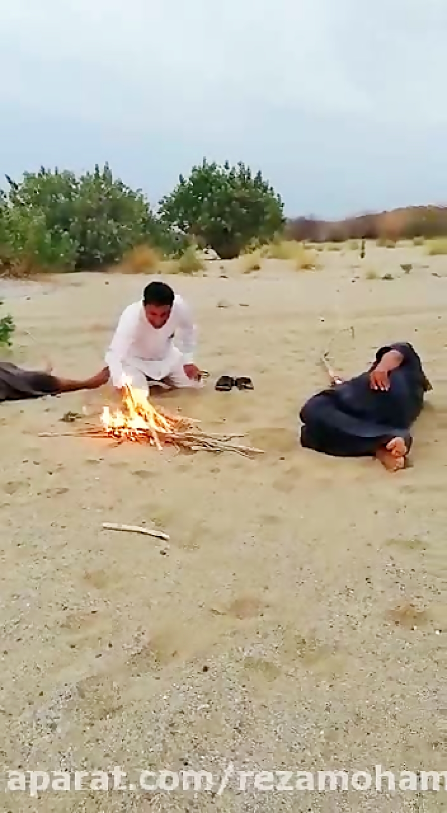 سیل
