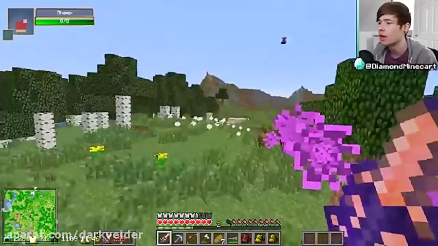 LEARNING THE OCARINA Diamond Dimensions 185