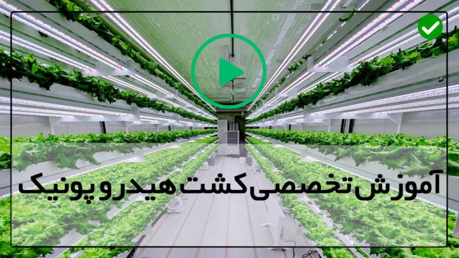آموزش کامل هیدروپونیک روش هیدر...