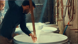 نماهنگ کوتاه " بانی "...