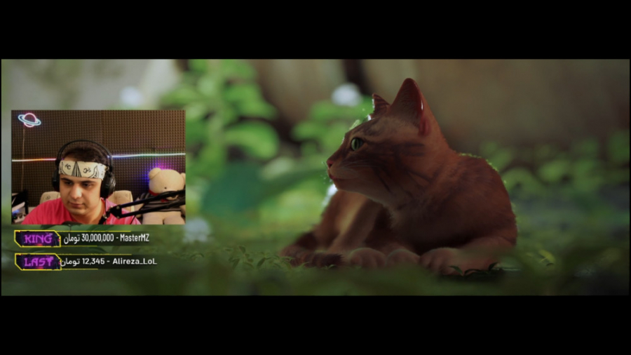 گیم پلی بازی استری با shezi |...