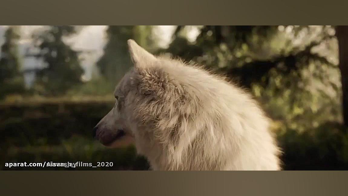 فیلم باک buck دوبله فارسی بدون...