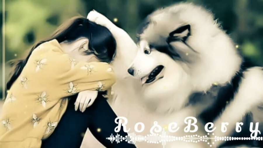 غمگین ترین آهنگ سوزناک  آهنگ ج...