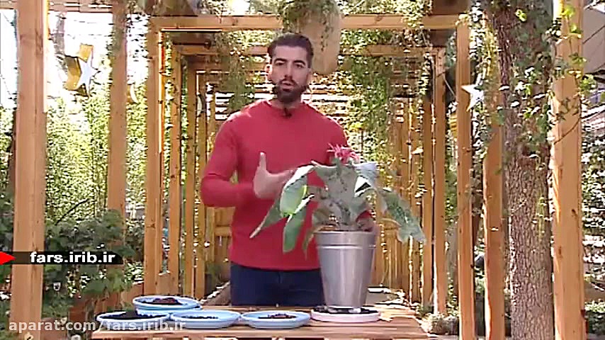 نگهداری و پرورش گیاه &quot; ای...