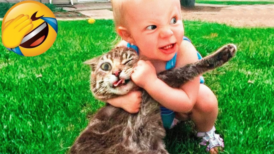 بهترین ویدیوهای بچه گربه های خ...