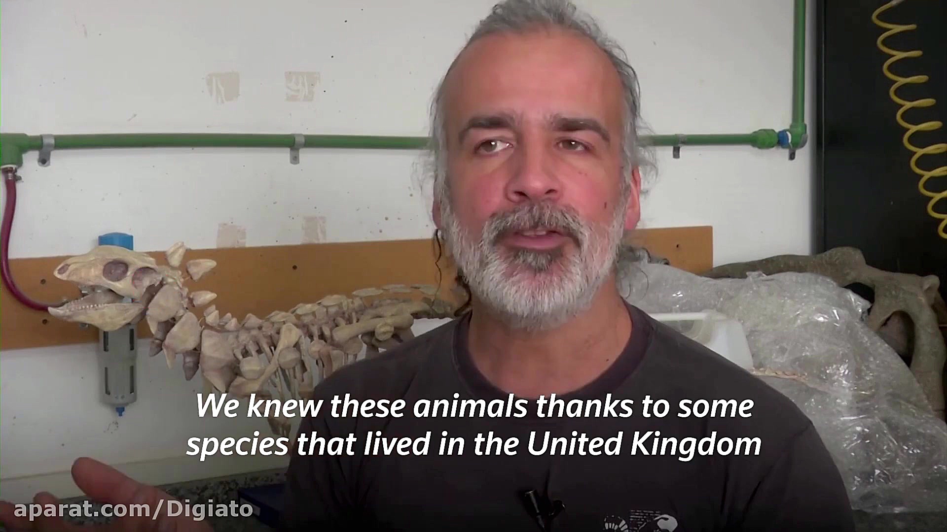 کشف فسیل‌های یک دایناسور زره‌پ...