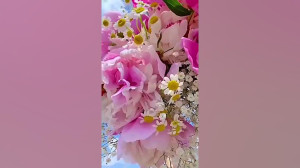 کلیپ : دلبر ناب دلم ۰
