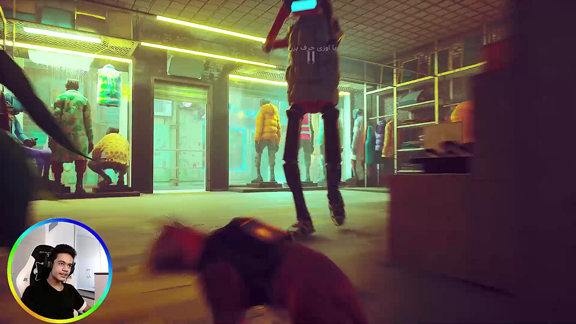 واکترو گربه با زیرنویس فارسی پ...