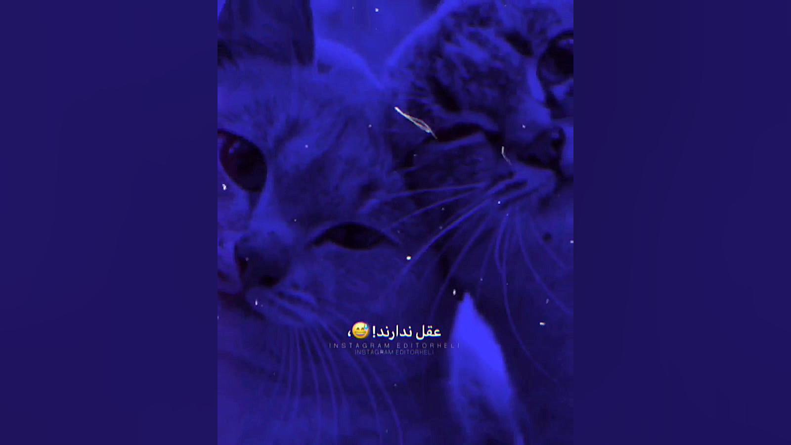 کلیپ عاشقونه خاص || زیباترین د...