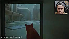 ای جی کینگ گربه شده ! در بازی...