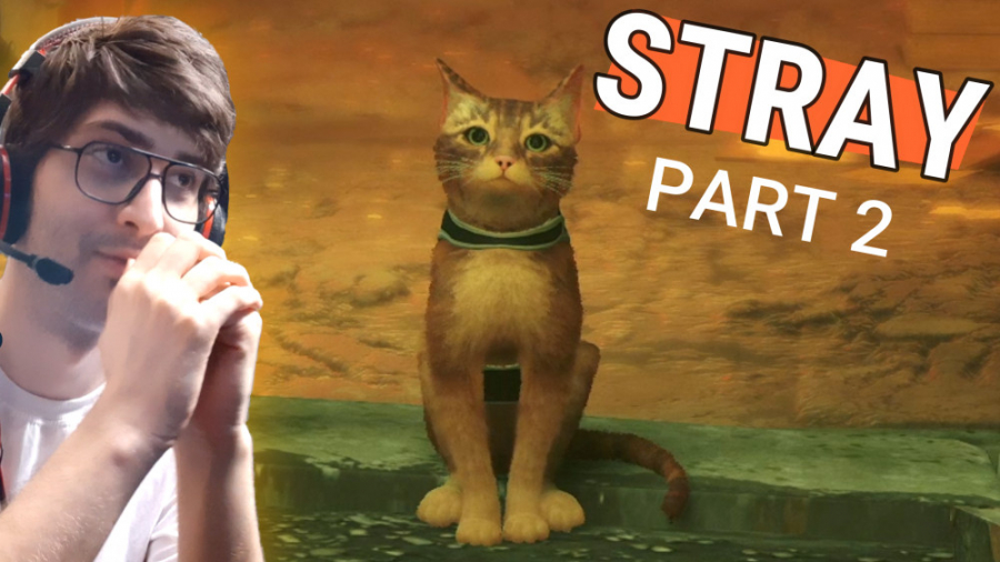 JOGO DO GATINHO, MIAU MIAU C@R#LH0 ~ Stray (PARTE 1) 