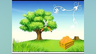 هرس مرکبات و کیوی