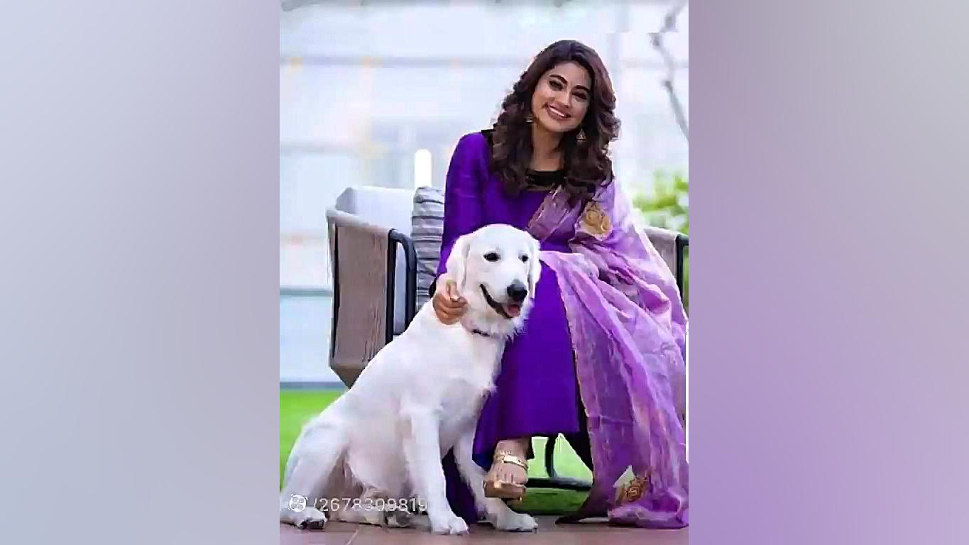 موسیقی اصیل  آهنگ قشنگ من   خو...