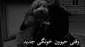 تصور کن بی تی اس|ریکشن بی تی ا...