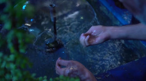 کتیبه | شهادت امام سجاد