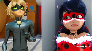 کشف هویت لیدی باگ جلوی کت نوار...