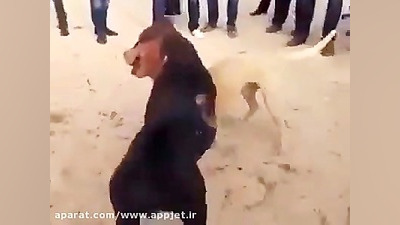 نبرد وحشیانه و خونین سگ ها