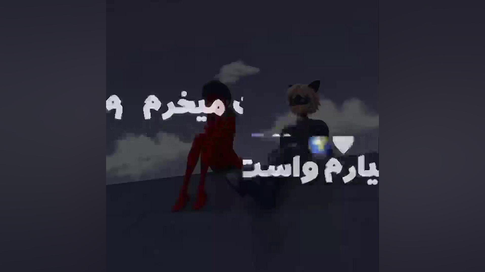 کلیپ نوشته لیدی باگ و کت نوار...