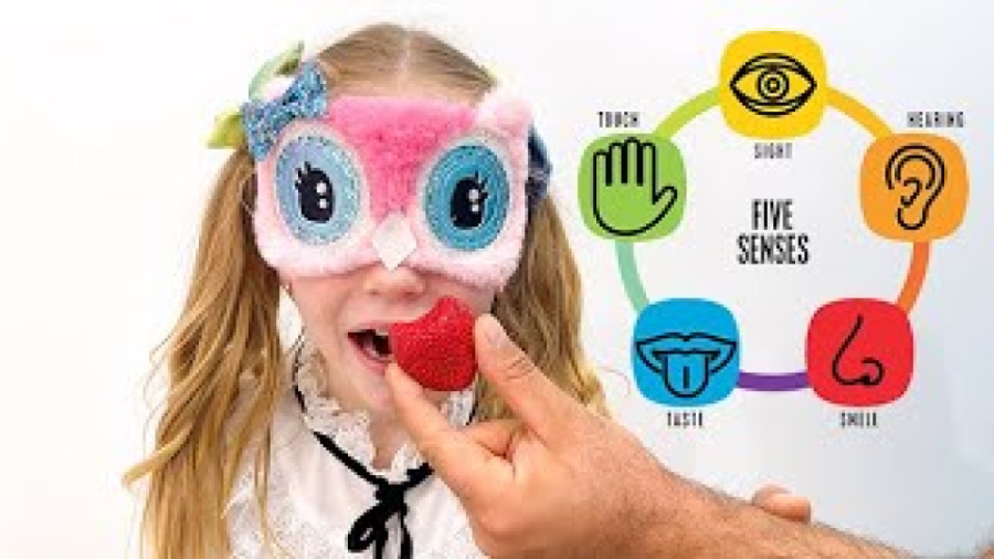 برنامه کودک ناستیا ، آموزش حوا...