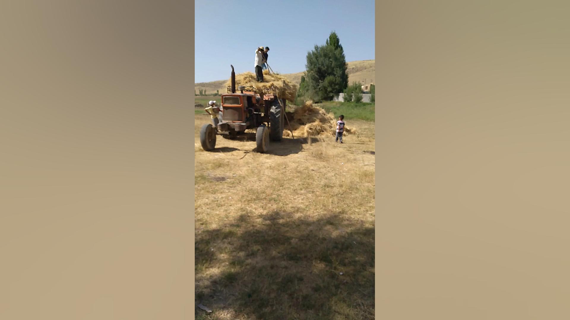 هوزان آیدین hozan aydin کُردی