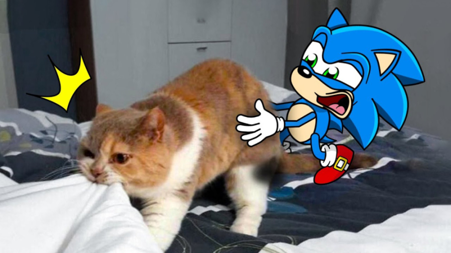 میکس کمدی سونیک &raquo;&raquo;...