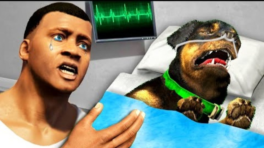 CHOP دوباره در GTA 5 زندگی می...