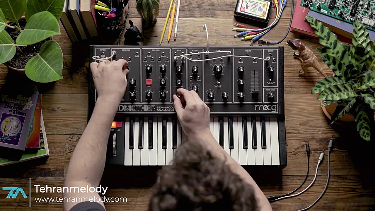 معرفی سینتی سایزر Moog Grandmo...