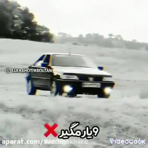 ویدئو شوتی