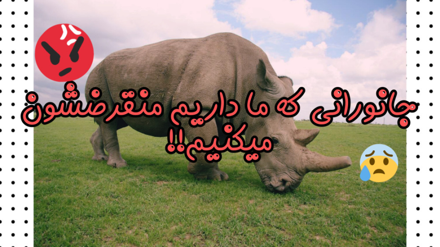 جاندارانی که ما باعث انقراض آن...