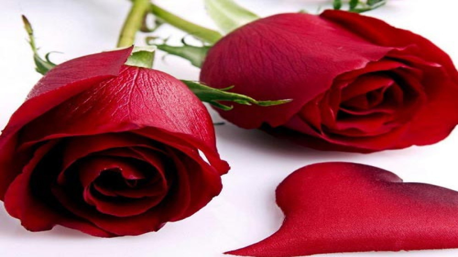 فیلم دوستی بی پایان قسمت ۲