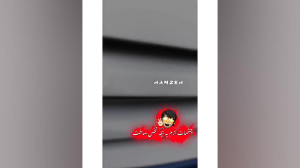 چشاش سگ داشت منم که سگ باز