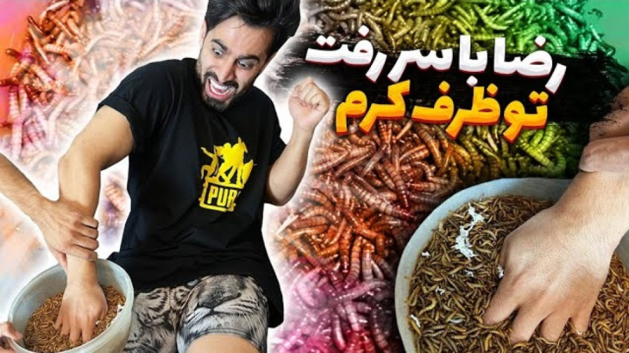 چالش کرم  رضا با سر رفت تو ظرف...