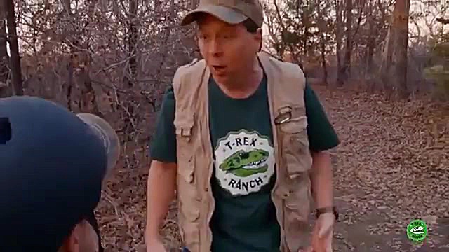 دایناسور ناپدید می شود! دایناس...