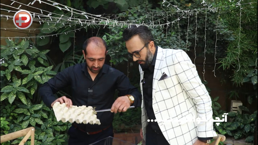 به دنیای جذاب عقرب ها خوش آمدی...