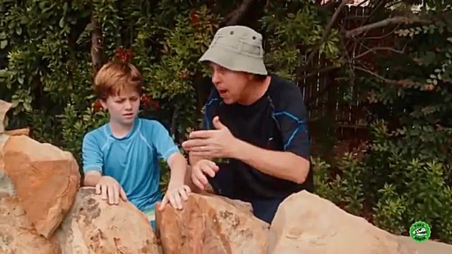 دایناسور غول پیکر تی رکس در اس...