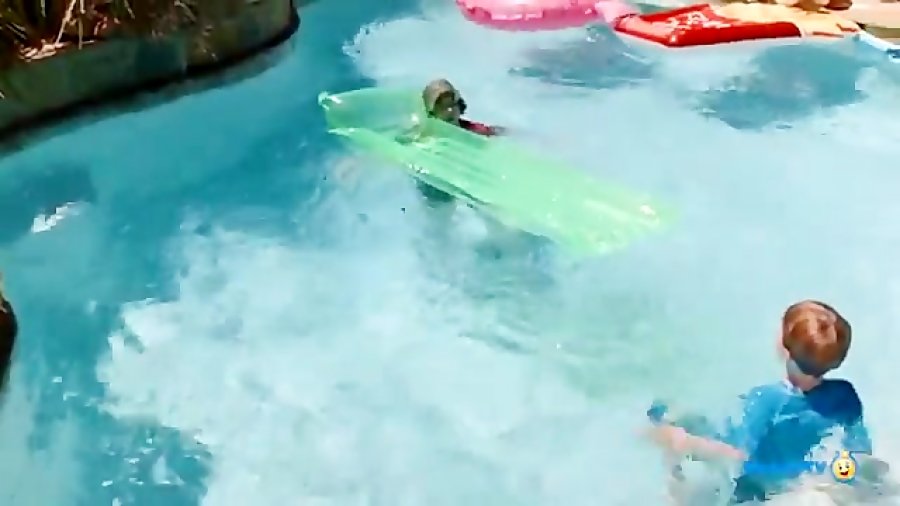 اسباب بازی های آبی دایناسورهای...