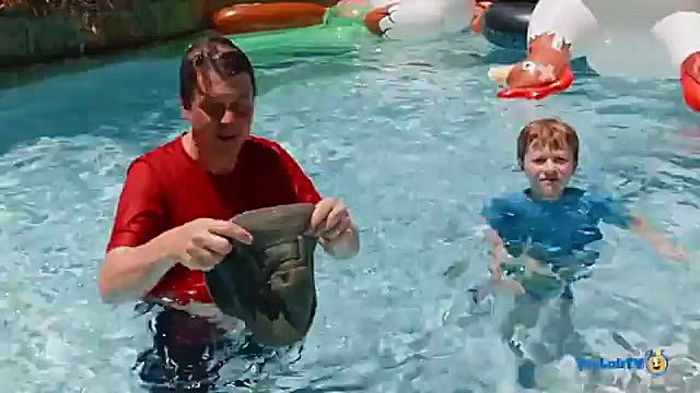 اسباب بازی های آبی دایناسورهای...