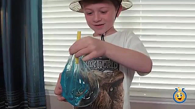 دایناسورهای غول پیکر به اندازه...