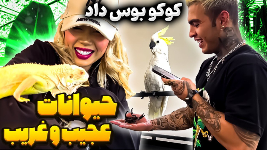 حیوانات عجیب غریب  آرزو صادقی