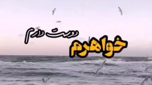 خواهرم دوستت دارم | کلیپ خواهر...