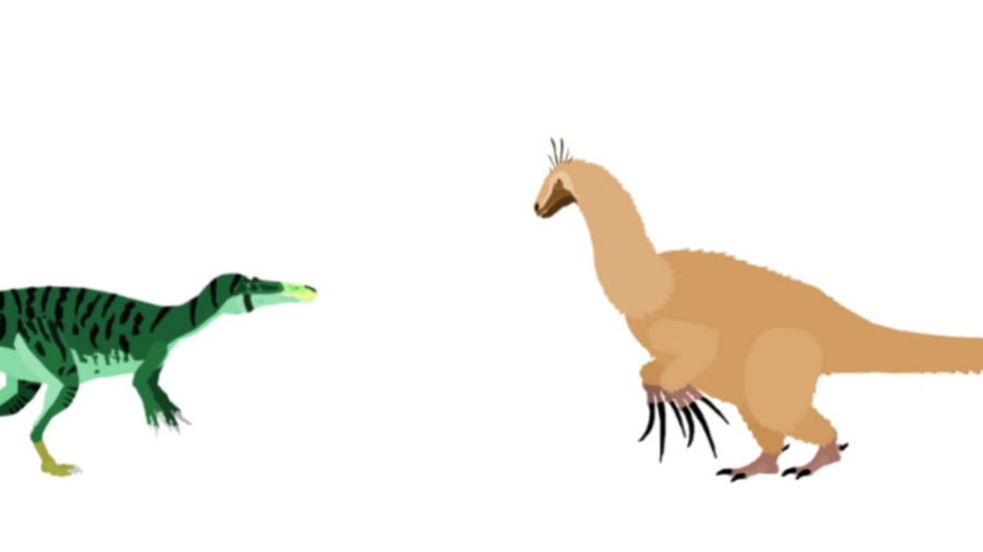 تیریز یونوسورس VS سکی میموس