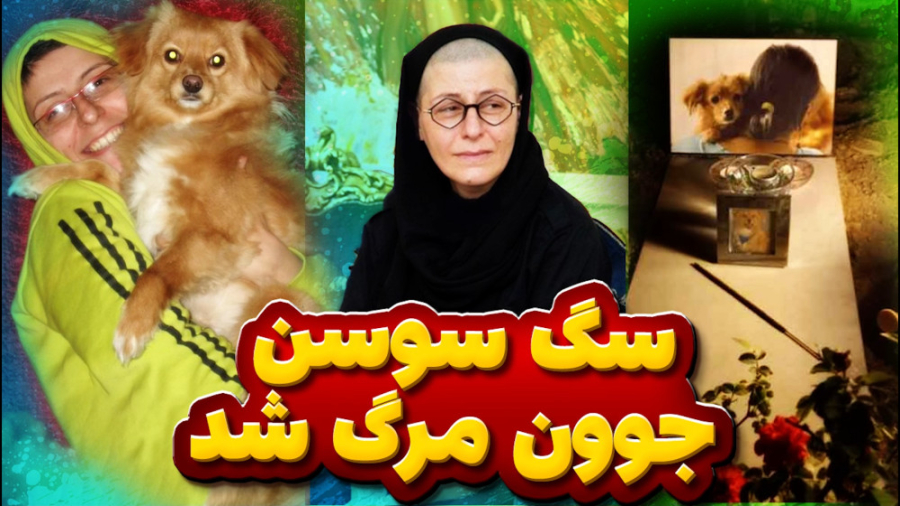 با نهایت تاسف سگ سوسن درگذشت