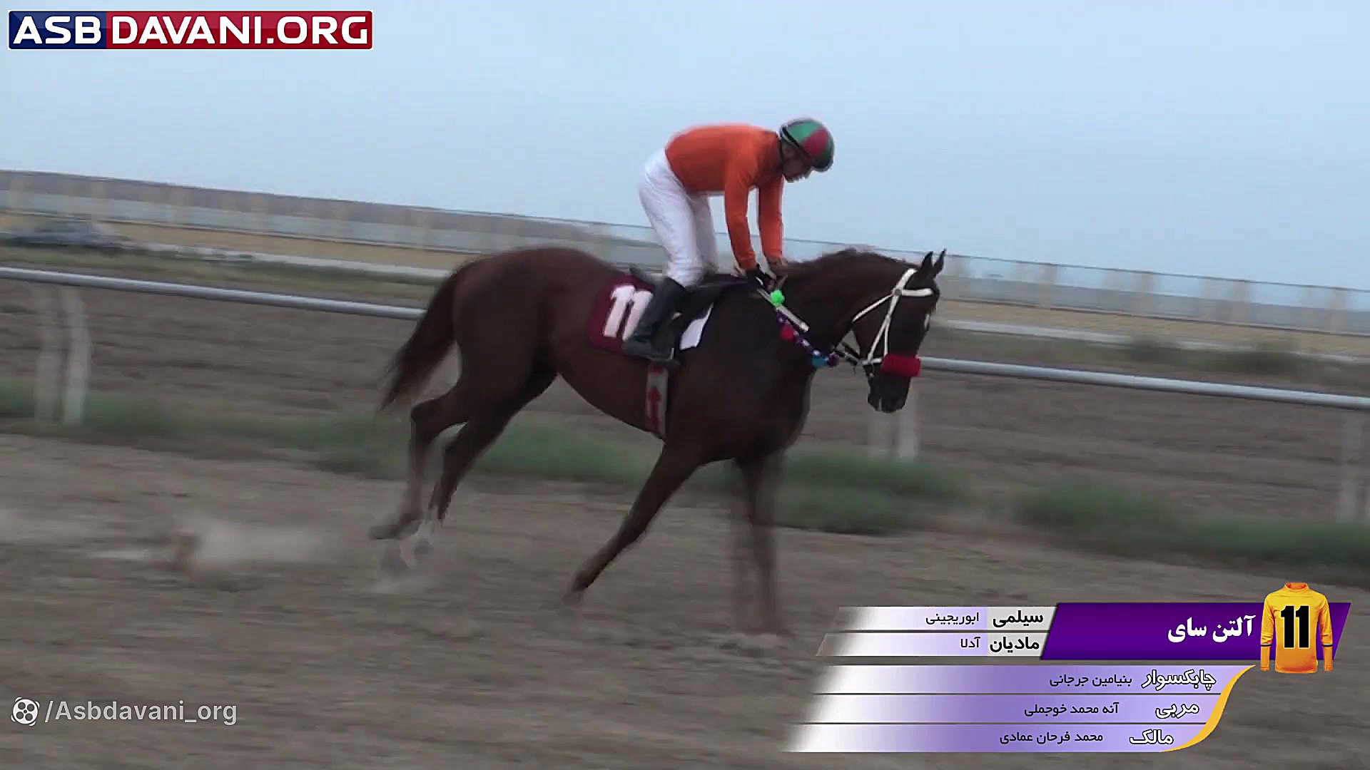 قهرمانی کارا بیگ  هندیکاپ کلاس...