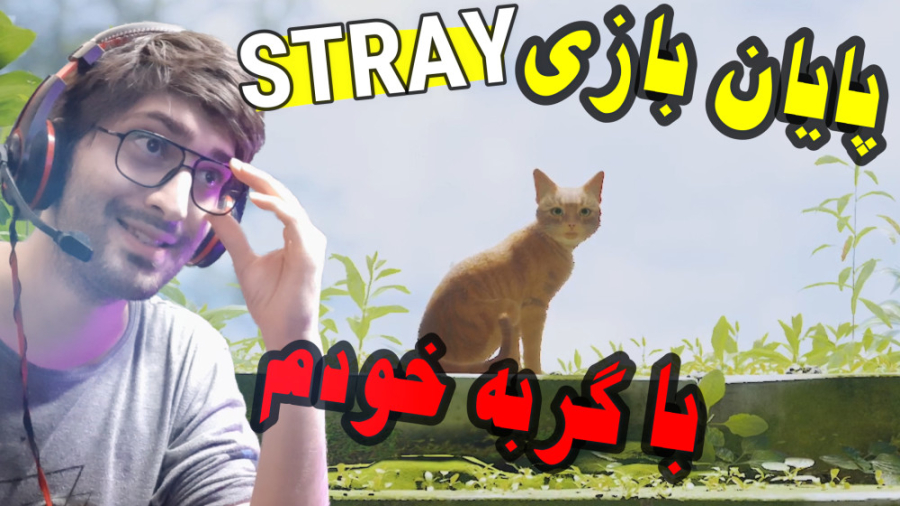پارت آخر Stray با گربه خودم !!