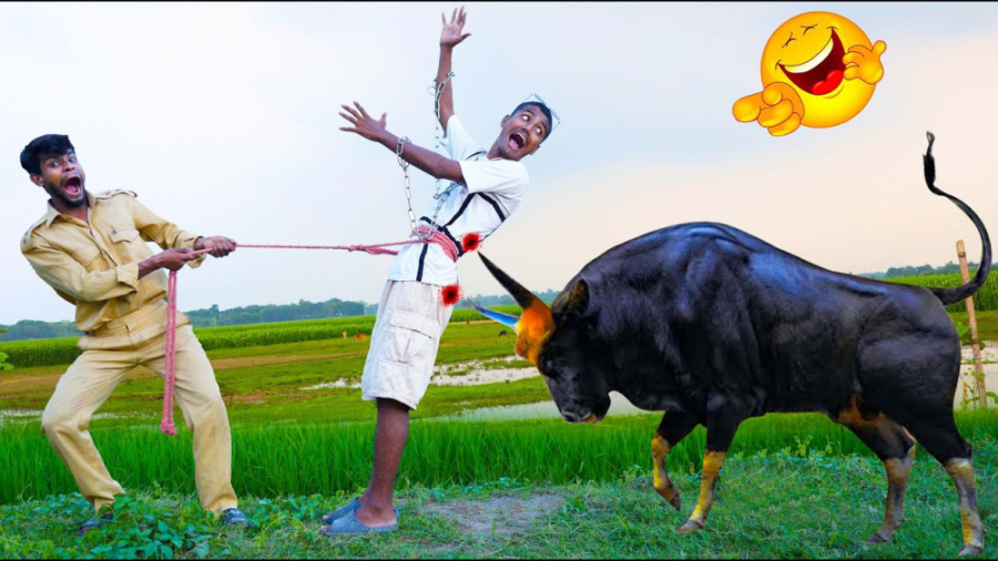 کلیپ خنده دار هندی طنزهندی برت...