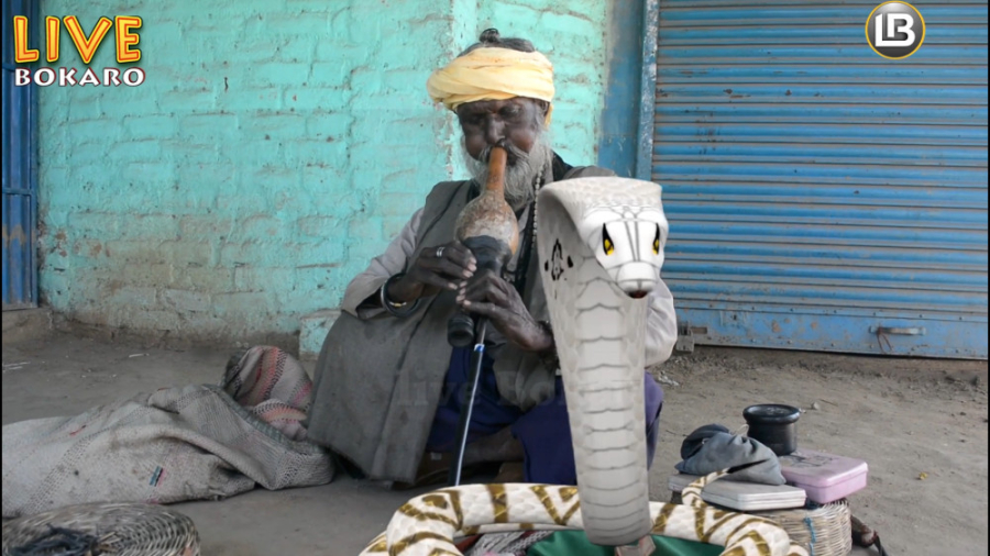 روش های دلهره آور مارگیرهای نی...