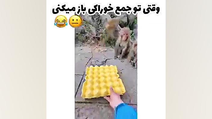 خوراکی خوردن جلوی جمع